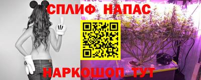 скорость Жуковский
