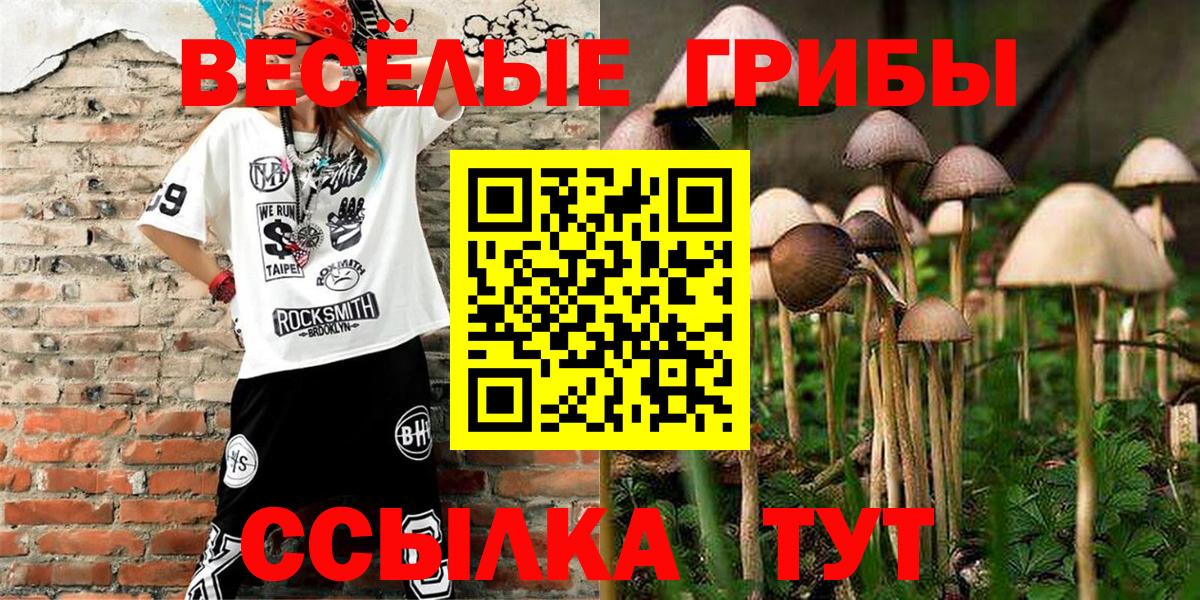 Галлюциногенные грибы Magic Shrooms  Галлюциногенные грибы GOLDEN TEACHER  Кызыл  Вход с VPN 