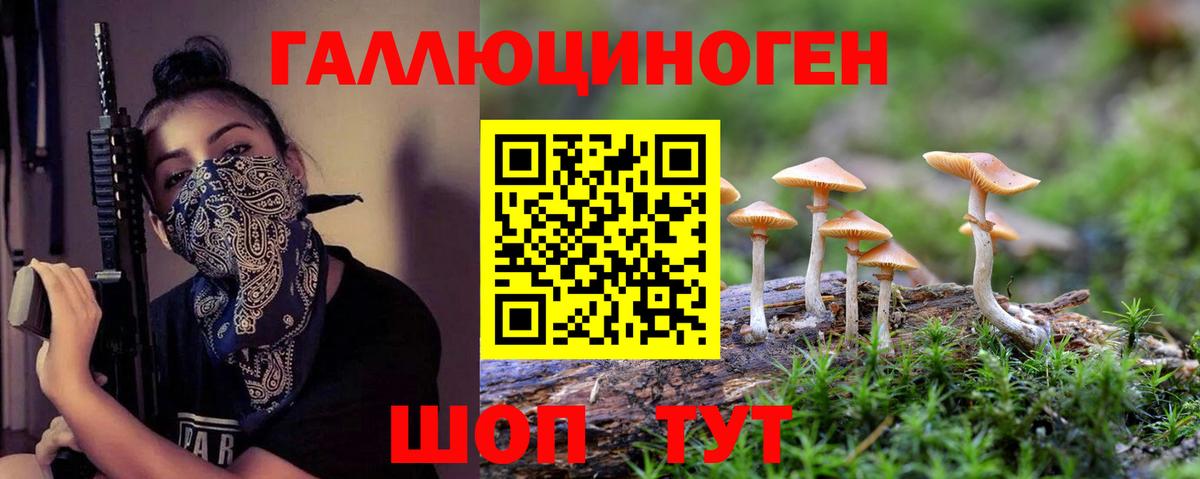 Псилоцибиновые грибы прущие грибы Кызыл
